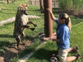 N.J. zoo invites visitors to watch feedings for alligators, komodo dragon and more