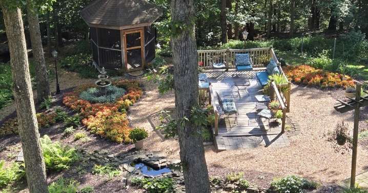 Good to Grow: A hillside meant for entertaining