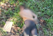 Hombre asesinado en San Martín fue sacado a la fuerza de su casa