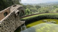 El nido de las maravillas