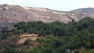 Nueva jornada de mejoría en los incendios: bajan a ocho los fuegos graves en León, Palencia y Zamora