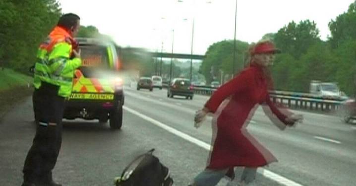 Twins ran onto M6 before one stabbed innocent man to death