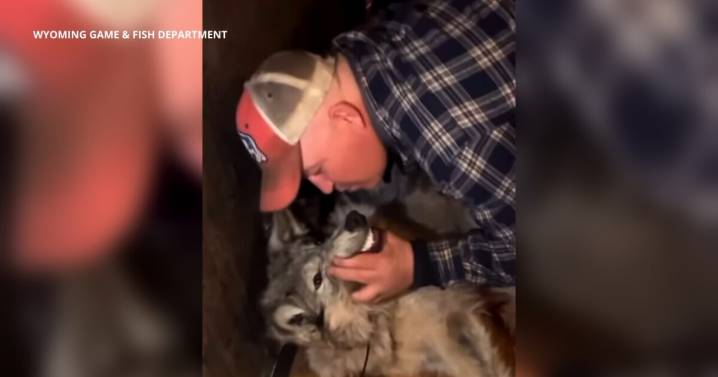 Man who posed with muzzled wolf charged with animal cruelty