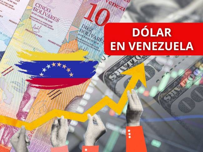 Así va el precio del dólar en Venezuela HOY, 15 de agosto: cierra la semana con un leve aumento