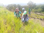 Más de 5 mil árboles establecen en el Parque Nacional San Esteban de Guacara