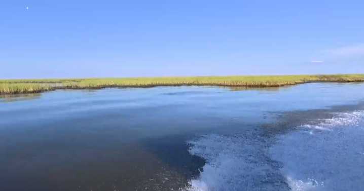 Louisiana scraps coastal erosion project designed to rebuild the state's wetlands