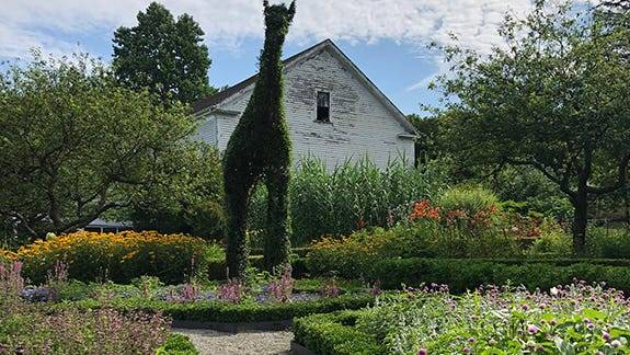 HGTV named RI's Green Animals Topiary Garden a must