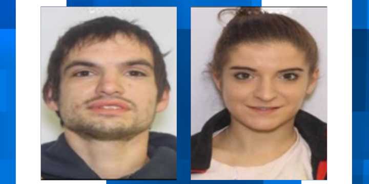 Colleton Co. deputies search for persons of interest in vehicle, property thefts
