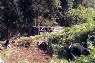 Deja volcadura de camión un muerto y 22 heridos en Puebla