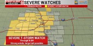 Severe Thunderstorm Watch through 8 AM Saturday