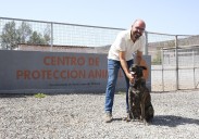 Día Internacional del Animal Sin Hogar: «En dos meses hemos acogido 40 mascotas abandonadas»