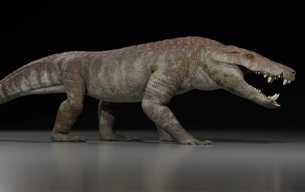Este pariente del cocodrilo fue uno de los depredadores más temibles de los dinosaurios