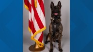 K-9 stabbed during chase in Rock Hill, South Carolina