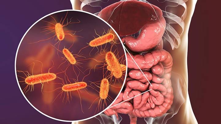 Little-Known Gut Nutrient Is Emerging Player in Cancer Fight