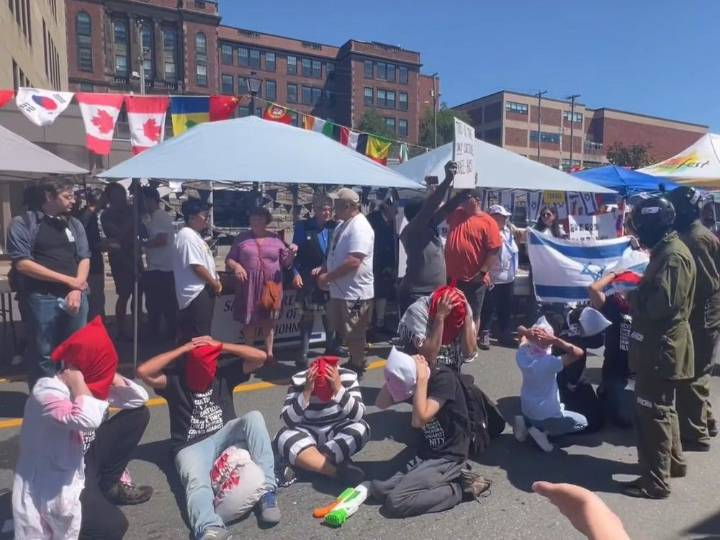 Pro-Palestinian groups want charges dropped after protester allegedly punched Israeli at demonstration in Saint John