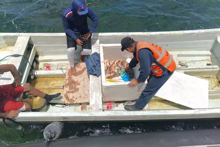 Refuerzan operativos de combate a la pesca furtiva en la costa de Yucatán