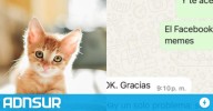 22:22 Quiso adoptar una gata bebé, charló con la dueña y se lo negó por su ideología política: "hay un solo problema..."