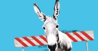 45 words and phrases that Democrats should stop using, according to strategists