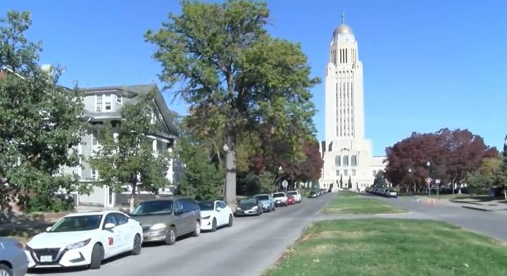 Lincoln City Council signs off on removal of 29 Goodhue Boulevard trees