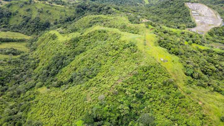 Ecopetrol avanza en la restauración de 15,2 hectáreas de bosque en la vereda Cagüí Primavera