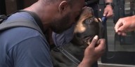 El emotivo reencuentro de un hombre sin hogar que recupera a su perro robado: “Es mi única familia”