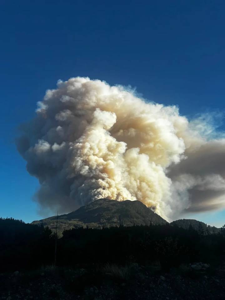 'Explosive' wildfire growth near Port Alberni, B.C., unusual for Vancouver Island: wildfire service