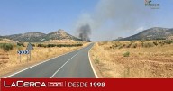 En nivel 1 un fuego en Aldea del Rey por afección a bienes de naturaleza no forestal y corte de CR