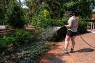 Should I wait until next spring to plant?