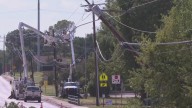 Ráfagas de viento provocan caída de árboles y tendido eléctrico en algunas zonas del norte de Texas