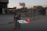 Israel continúa ofensiva en Palestina: 42 muertos en Gaza por ataques; en Cisjordania tiran árboles