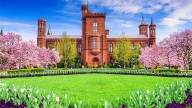 LIZ PEEK: Trump right to declare war on woke ideology at Smithsonian Institution museums