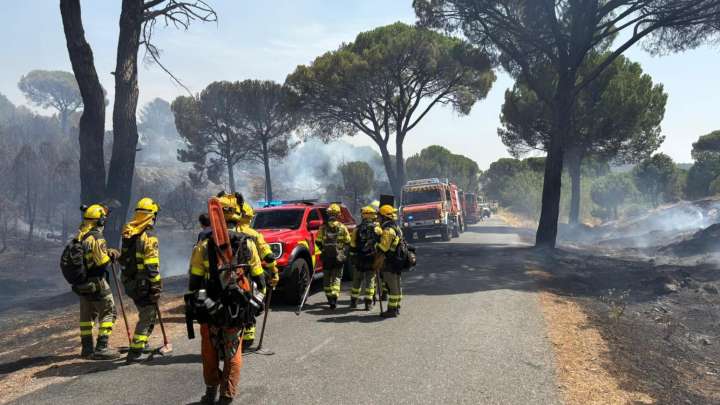 El incendio de San Bartolomé de Pinares, ya sin llama: "Tenemos que estar muy atentos para controlar reactivaciones"