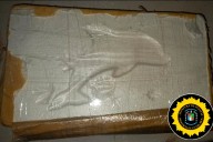 Hallaron un kilo de cocaína “con el logo del delfín” en allanamientos por balaceras en Paraná