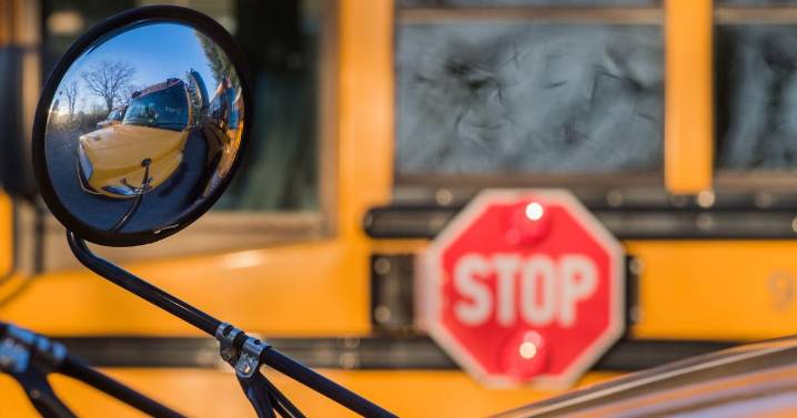 Local school divisions warn drivers not to pass stopped school buses
