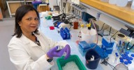 Department of Defense grant to finance University of South Alabama study into molecular link of obesity and colorectal cancer