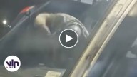 Pelea entre conductores genera preocupación por la seguridad de los pasajeros
