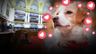 Pastor Chiribaya conquista a todos en el Congreso | Perro peruano será Patrimonio Cultural (VIDEO)