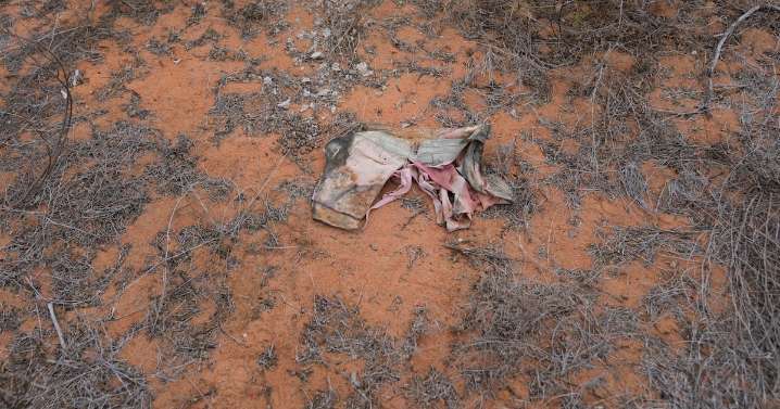 Kenya cult: Nine bodies linked to Shakahola Forest Massacre
