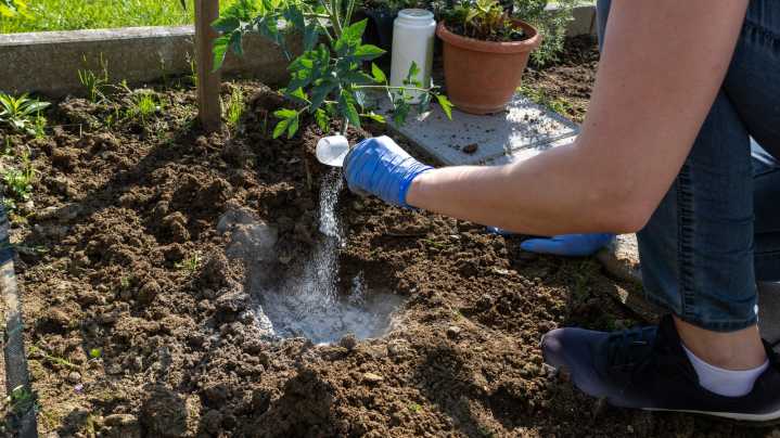 Why Top-Dressing Alone Won't Improve Your Lawn Fertilizer Effectiveness