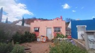 Rescatan 54 perros durante cateo en Nogales, Sonora; encuentran decenas de kilos de vísceras