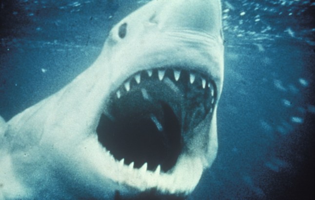 Jaws child star reveals staggering amount he earns 50 years after hit film