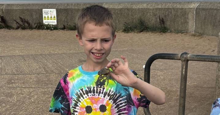'Call 999' plea as fears grow for boy missing from caravan park near Skegness