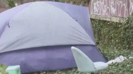 DC to take survey of homeless population amid increase in encampment clearing