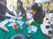 Aprender mediante lo lúdico para concientizar y prevenir el dengue