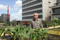 Comentarios noticiables | Frenar la tercera guerra mundial