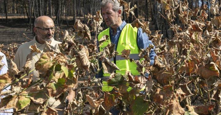 Los daños en las viñas: “Perdemos 100.000 kilos”