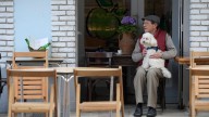 Viajar con animales es más fácil gracias a «Oviedo con Perro»