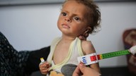 Famine is declared in Gaza: What does it take to make this pronouncement?