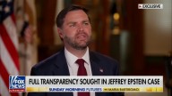 Stupid JD Vance Just Makes Epstein Files Cover