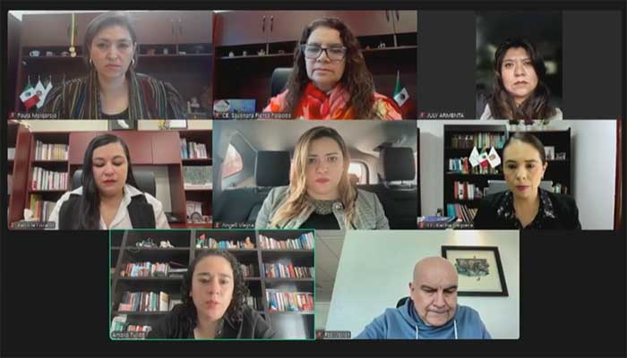 IEEM da cumplimiento a sentencia del juicio electoral